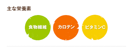 主な栄養素