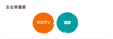 主な栄養素