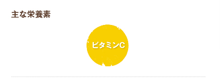 主な栄養素