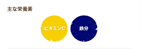 主な栄養素
