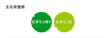 主な栄養素