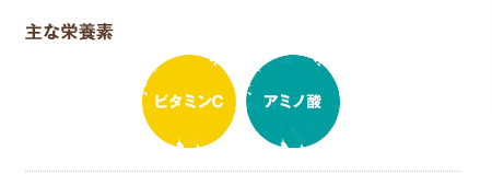 主な栄養素