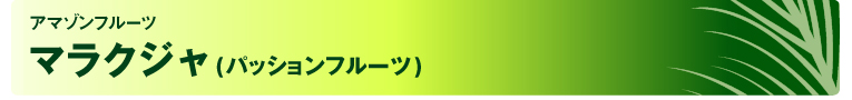 アマゾンフルーツ マラクジャ（パッションフルーツ）