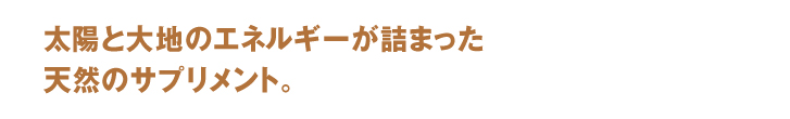 太陽と大地のエネルギーが詰まったビタミン豊富な天然のサプリメント。