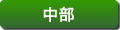 中部地方