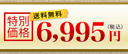 送料無料　特別価格6,995円