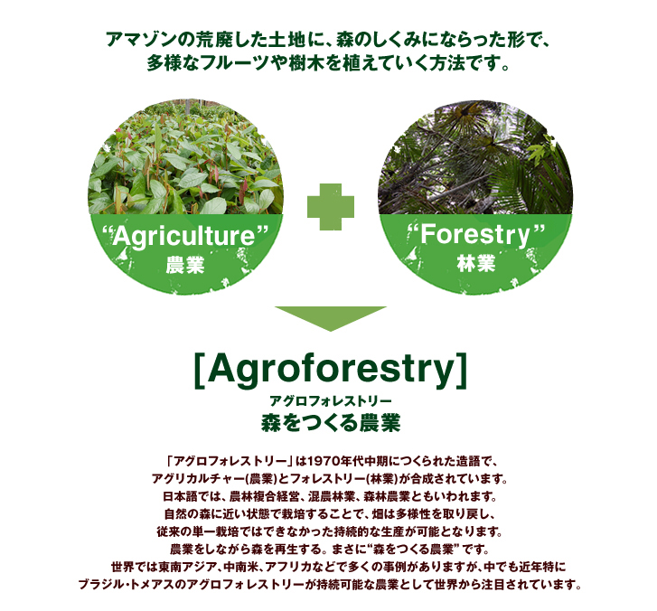 img_agroforestry_01_1