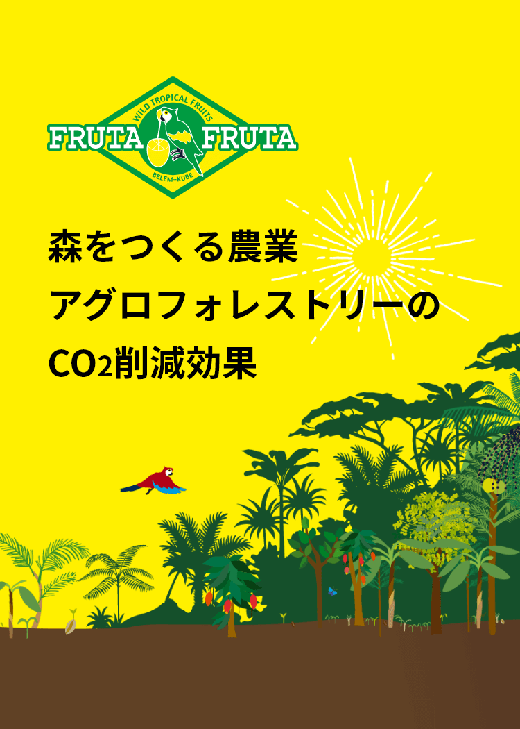 森をつくる農業アグロフォレストリーのCO2削減効果