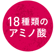 18種類のアミノ酸