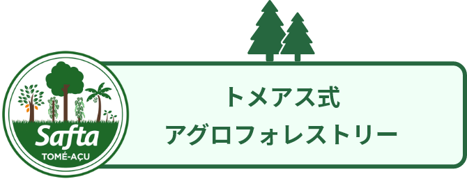 トメアス式アグロフォレストリー