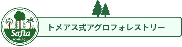 トメアス式アグロフォレストリー