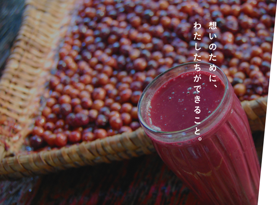 一杯のジュースから森林再生を