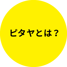 ピタヤとは？