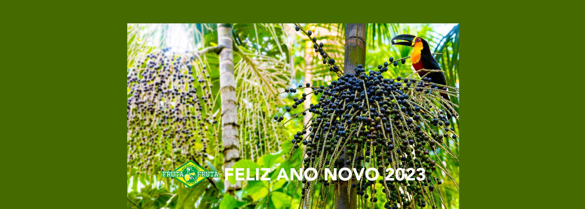 アサイーでみなぎるプロジェクト