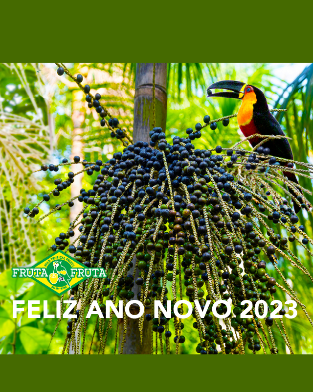 アサイーでみなぎるプロジェクト