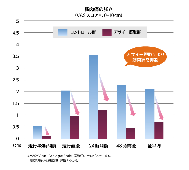 抗酸化能比較