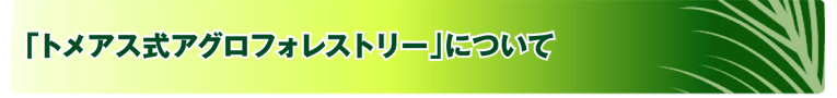 「トメアス式アグロフォレストリー」について