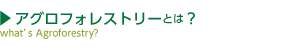 アグロフォレストリーとは？