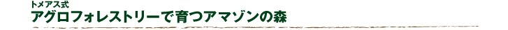 アグロフォレストリーで育つアマゾンの森