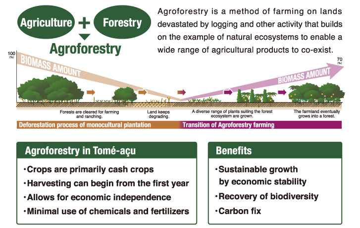 農業をしながら環境と共存できる持続可能な農業