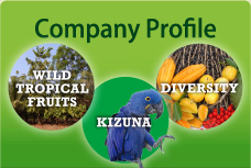 Company Profile