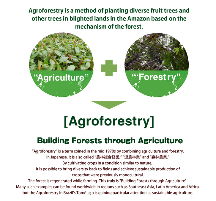 What is Agroforestry?