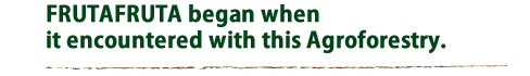FRUTAFRUTA began when it encountered with this Agroforestry.
