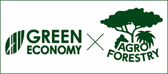 Green Economy 