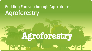 Agroforestry