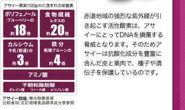 アサイー果実100g中に含まれる栄養素