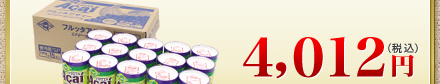 送料無料　特別価格4,012円