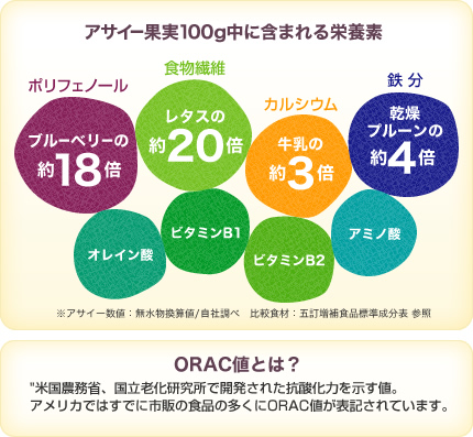アサイー果実100g中に含まれる栄養素